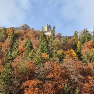 Burg Ehrenberg